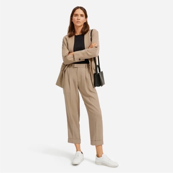 NWT New Everlane Put-together Pleat Pant Clay 00 - Picture 1 of 9